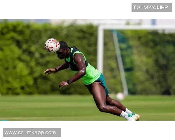 北京国安宣布签约29岁法国边锋恩科洛洛身价达100万欧元 北京国安宣布签约29岁法国边锋恩科洛洛身价达100万欧元